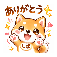 shiba_shibainu_shibaken
