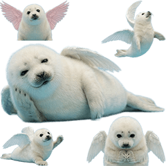 BIG! 帶翅膀的海豹寶寶