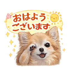 BAMBI_20260331145245