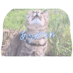 hitohito_20260331174710