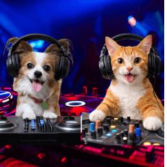 DJ Lala & Chacha - Groovy Stickers