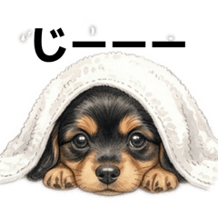 yun_p_p_pao_20260331190240