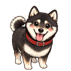Yamato, an energetic Shiba Inu.