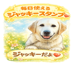 Jackie Stickers for Everyday Use