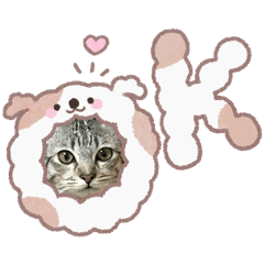 Famkiaokoi_20260331134024