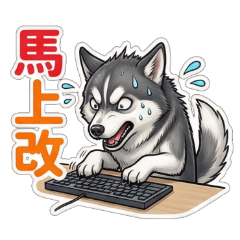 Working Dog: Office Husky