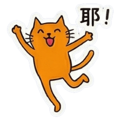 Long Legs Series-Orange Cat