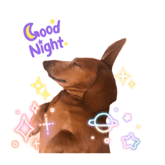 Hana and her cheerful friends2026