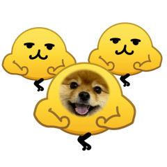 akari_20260331165659