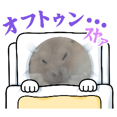 KinakoMochiOwner_20260331164652