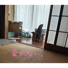 za-ne_20260331165805