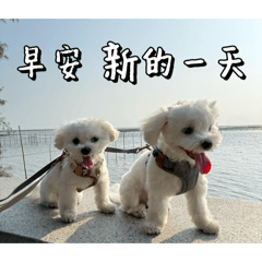 Do Ki & 線條 日常