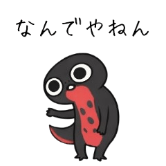 Moody Red-Bellied Newt