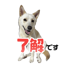 Miya_20260331
