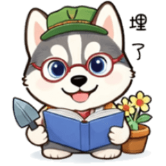 可愛哈士奇02-上班哈士奇