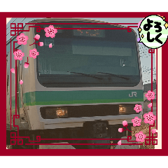 tetudu_20260328160420