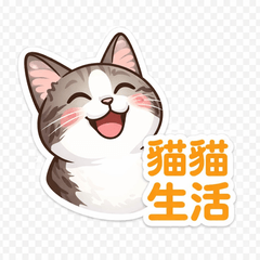 Cuddly Cat's Daily Life