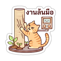 sontayar_20260331152332