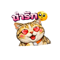 Somchun Daily Talk #1