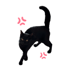 nasubi_20260331181501