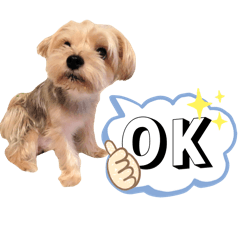 Chloe.S_20260331182517