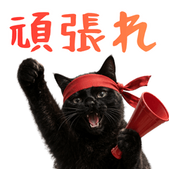 小花達的日常會話貼圖6(日文)