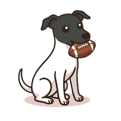 nihon terrier no NEGI 2