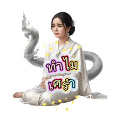 SheeCase_20260331182341