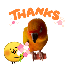 PPraphangg_20260331184856