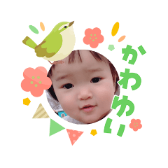 mikurihaha_20260331210952