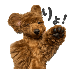 PONSUKE_20260331211043