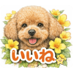 Dog or cat, and flowers