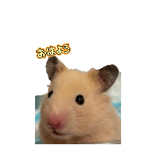 yuzu_20260328164641