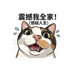 CC不嘻嘻：sad cc
