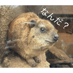 aru_20260331214013