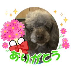 Lotus_20260331215041