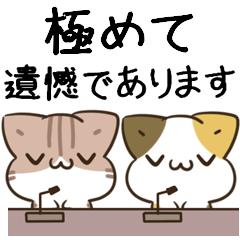 unmotivated calico cat honoriflc 4