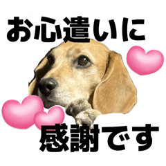 riyudakei_20260331215534