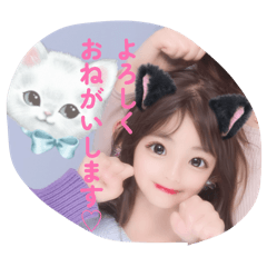 himapi_20260401003039