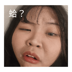 棕熊代言人（更