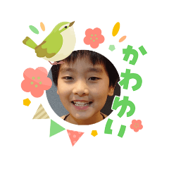 shingaki_20260331223201