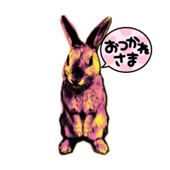 uchan_20260331223458