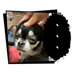 hinaaaaa_20260331223147