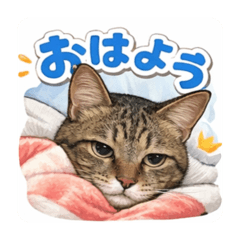 shino228_20260331223655