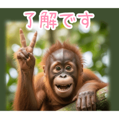 PAKAMOGOLY_20260331223936