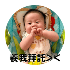 小饅頭的日常貼圖-2