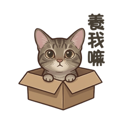 小虎斑的可愛日常1