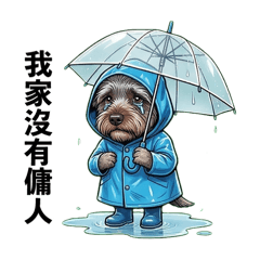 暴走紳士 阿喜 ：有話直說