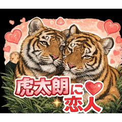 tora1972_20260331195014