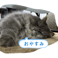 fuwa_20260331202400